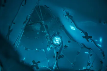 ZodiacBet Kasyno Aplikacja mobilna